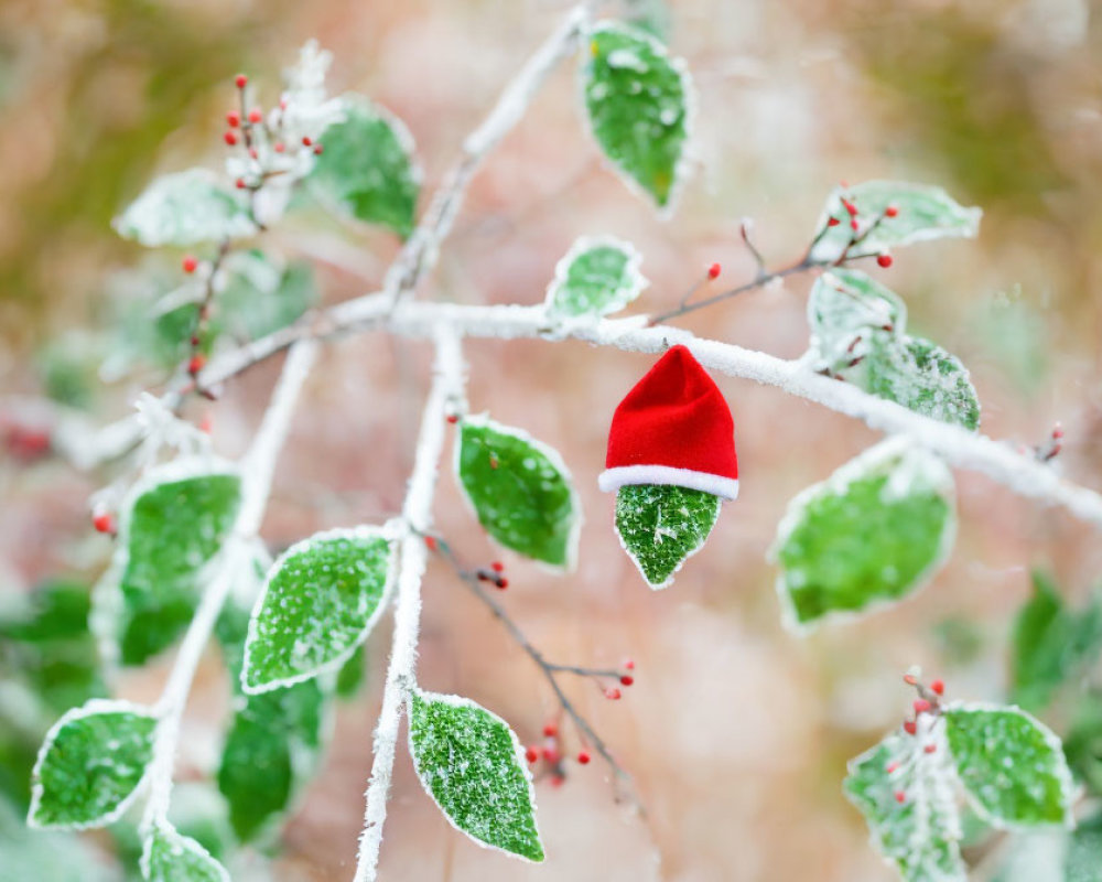 Miniature Santa Claus hat on frost-covered leaf in wintry Christmas scene
