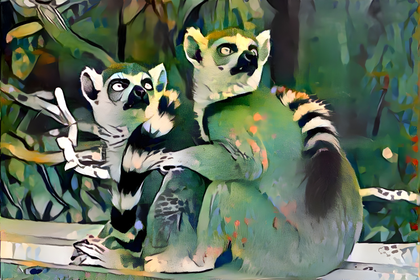 Beautiful lemurs