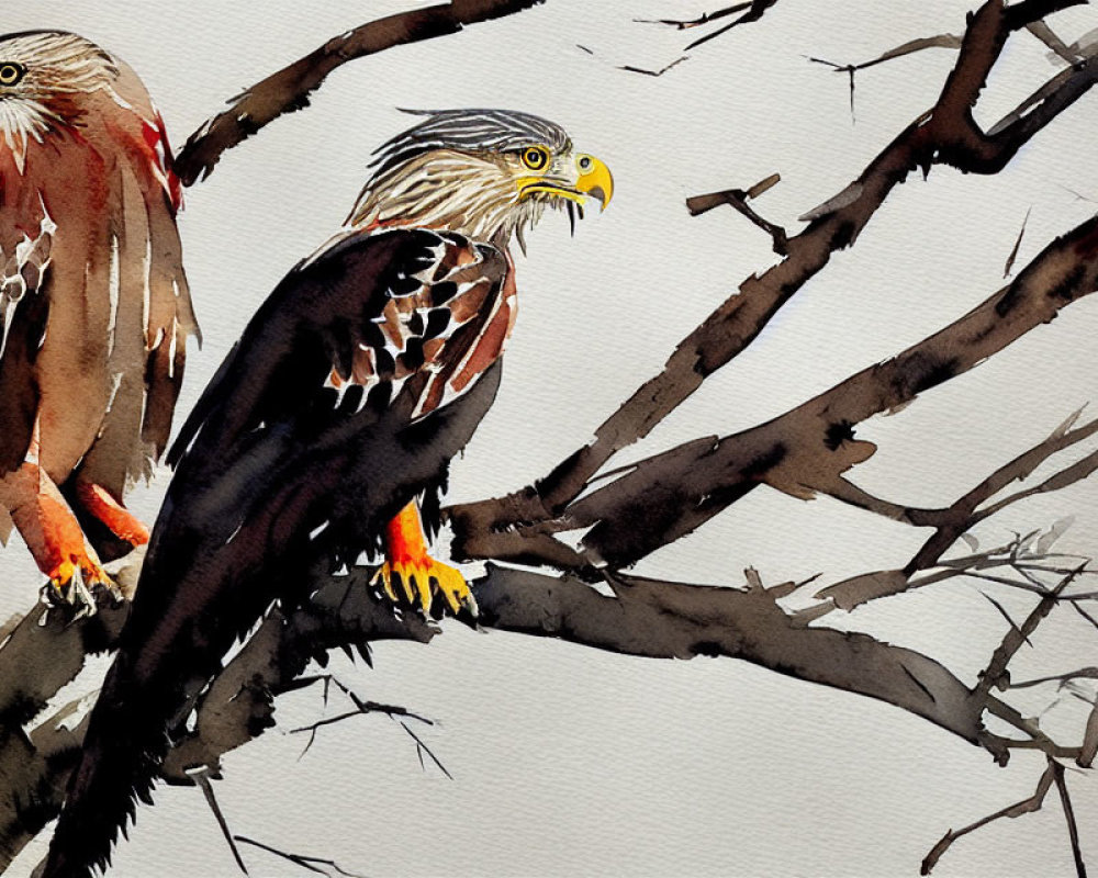 Detailed Watercolor Painting of Eagles on Bare Branches