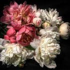 Digital artwork: Lustrous oversized flower bouquet in white, peach, and red with golden details on
