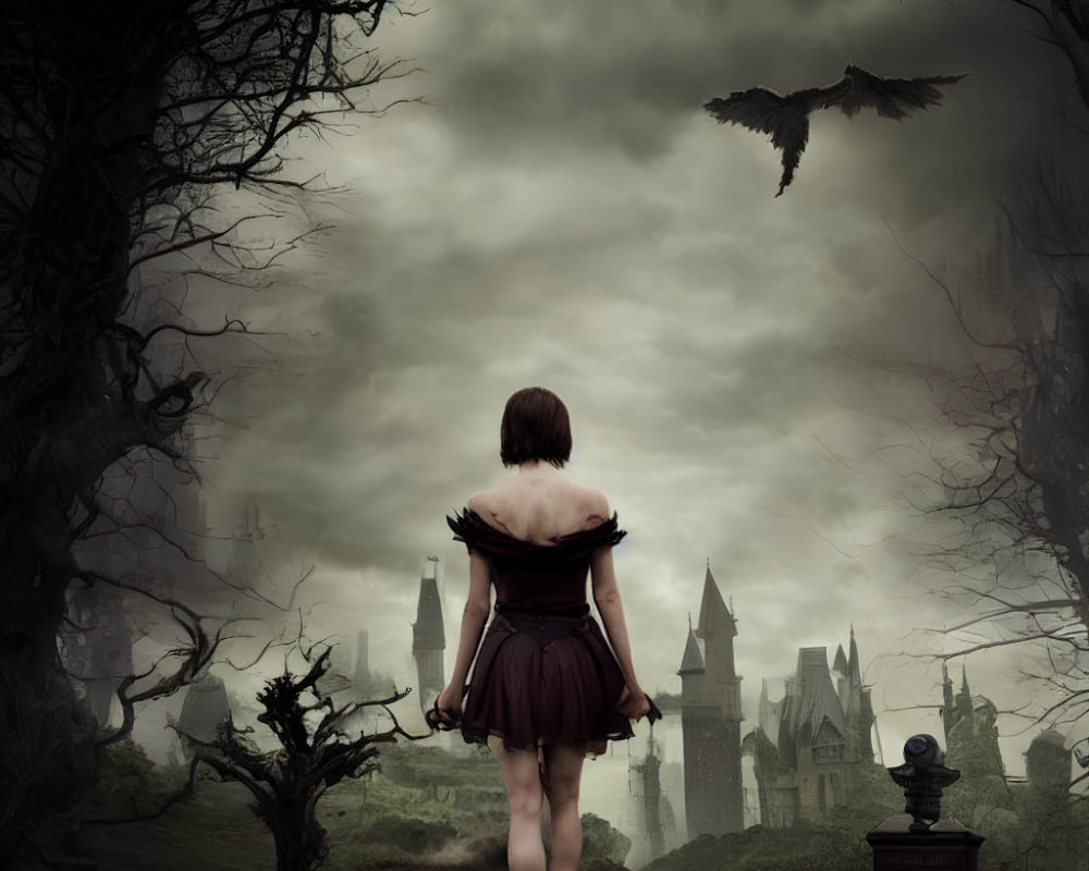 Person gazes at distant castle in stormy landscape with flying bat.