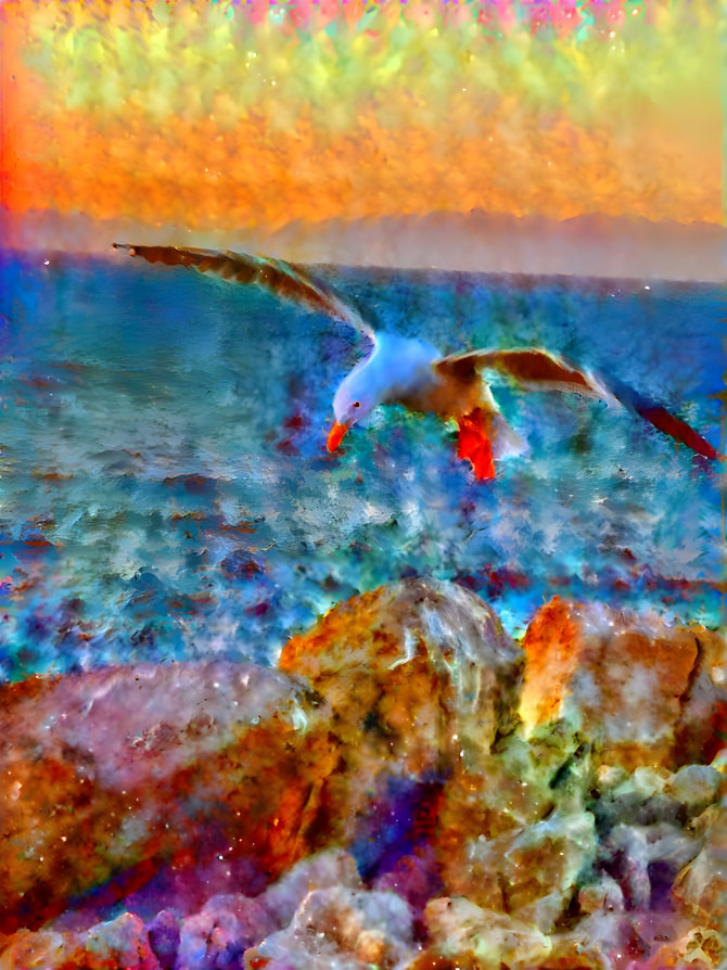 Monterey Seagull