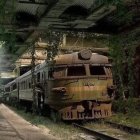 Vintage steam train covered in foliage amidst lush flora depicts magical scene.