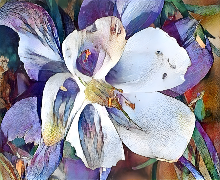 White-N-Purple Petals