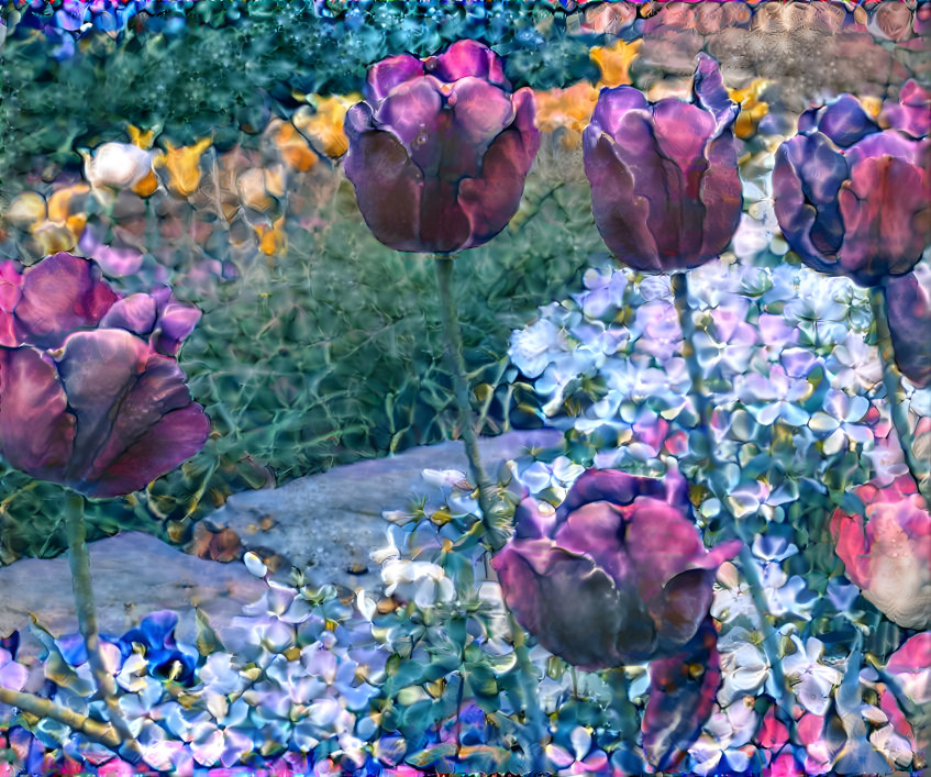 Purple Tulips in the Garden