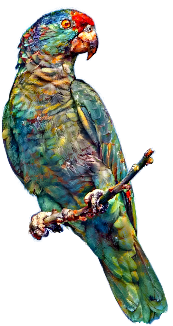 Parrot of a Thousand Colors