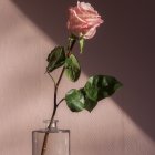 Rose in Glass Vase Painting with White Petals on Gradient Background