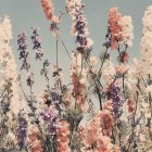Vintage-style image of diverse flowers on pale blue sky
