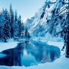 Snow-covered trees and frozen lake in serene winter scene