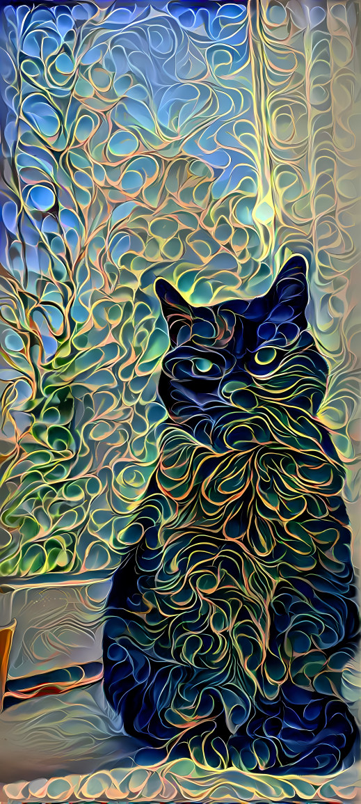 Swirly cat