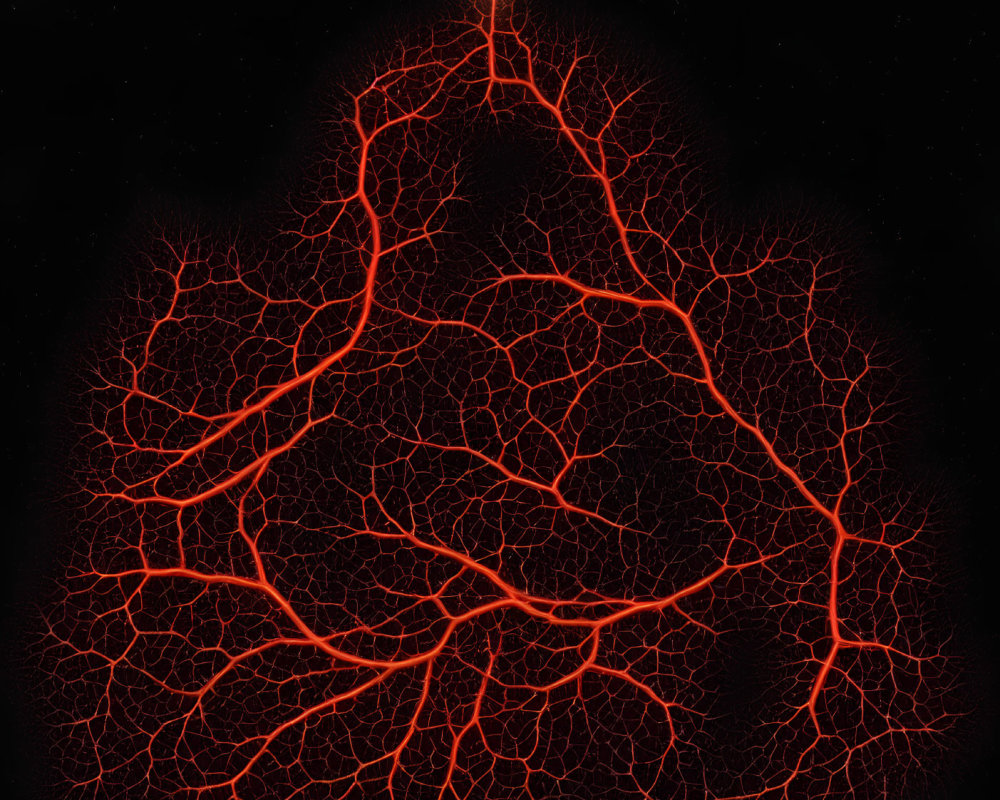 Bright fractal network resembling blood vessels on dark background