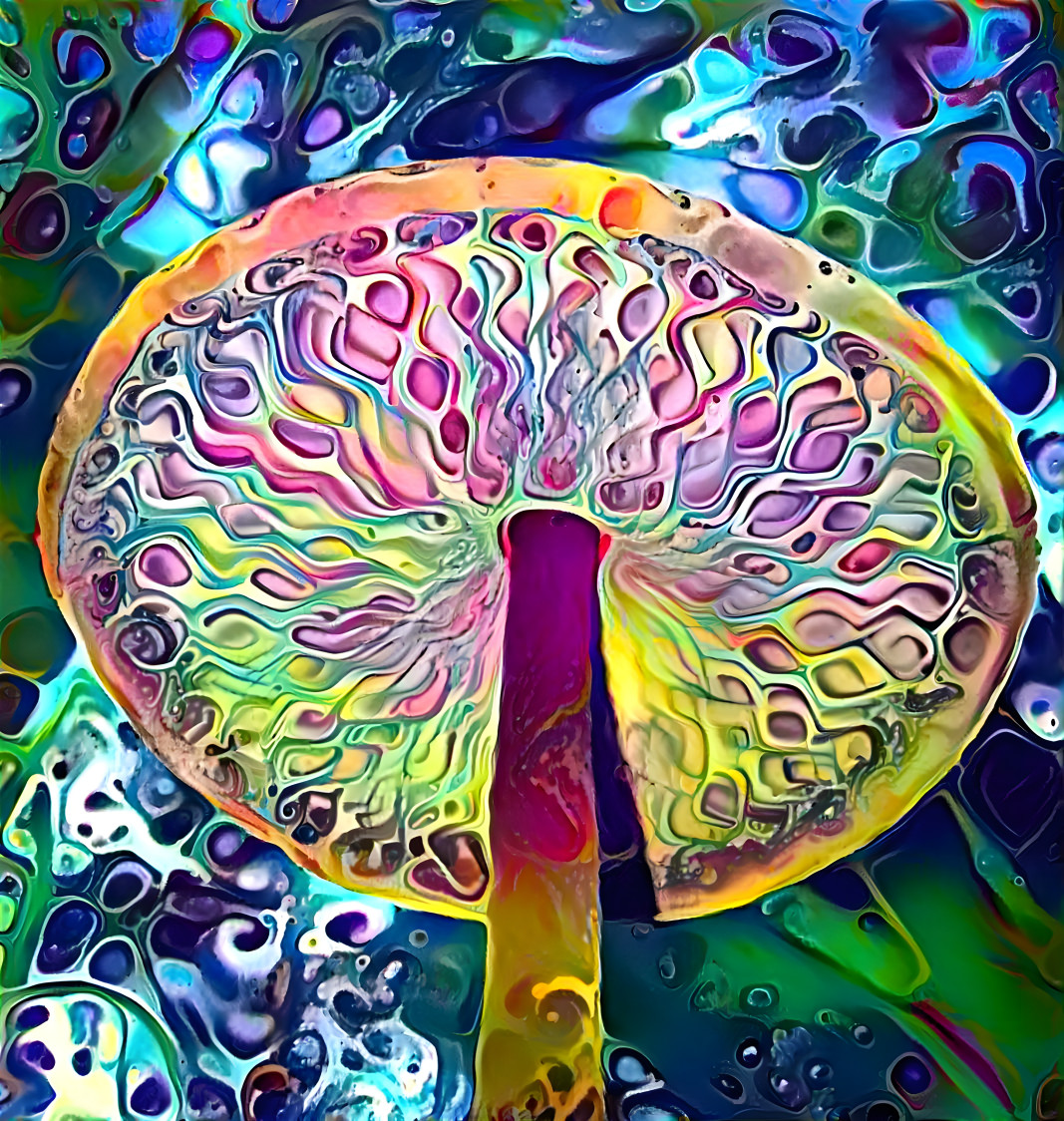 the beauty of a mushroom hat