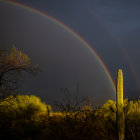 Colorful desert landscape with cacti, rainbow, and dramatic sky