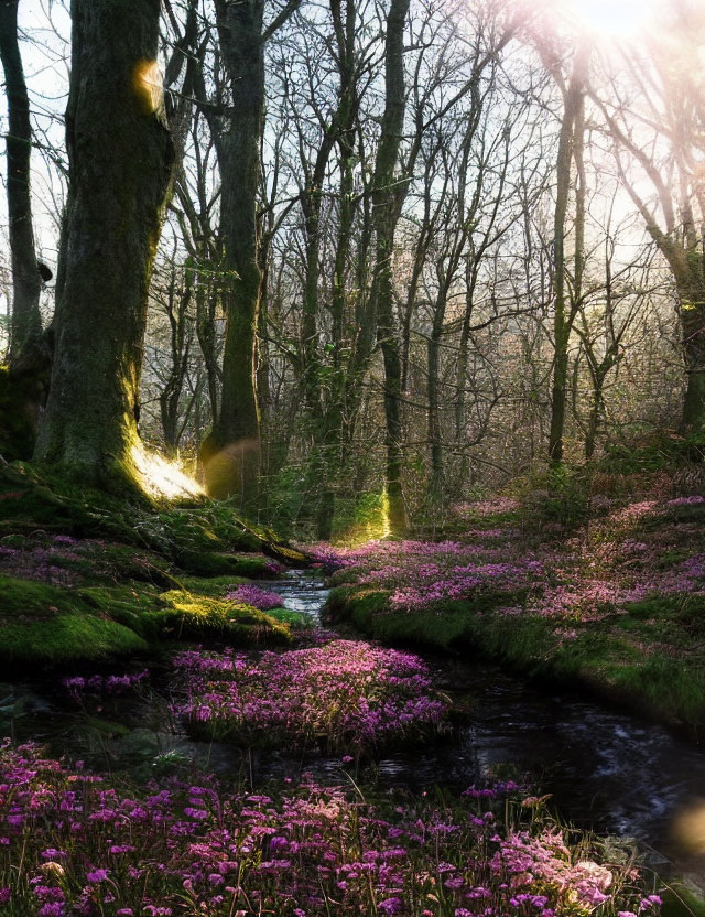 Tranquil forest landscape with sunlight, purple flowers, and stream