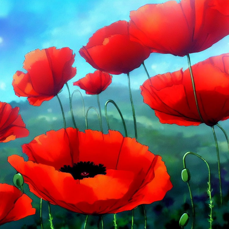 Bright red poppies with black centers in green landscape under blue sky.