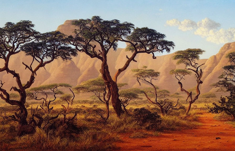 African Savanna Landscape with Acacia Trees and Rocky Outcrops
