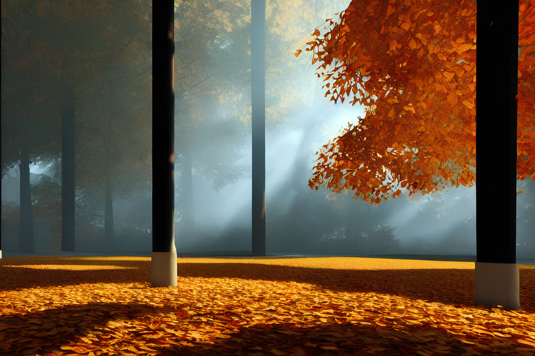 Autumn forest scene: golden leaves, tall trees, sunlight beams