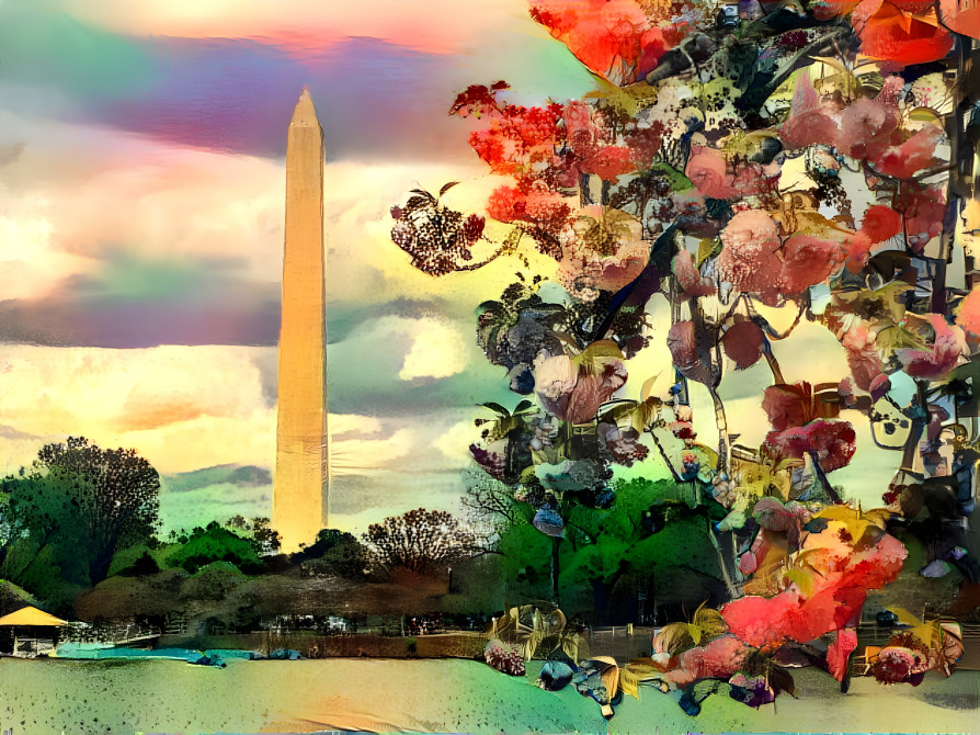 Cherry Blossoms with Washington Monument