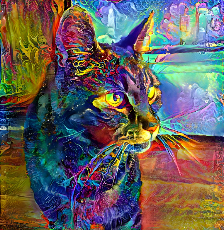 Rainbow Kat