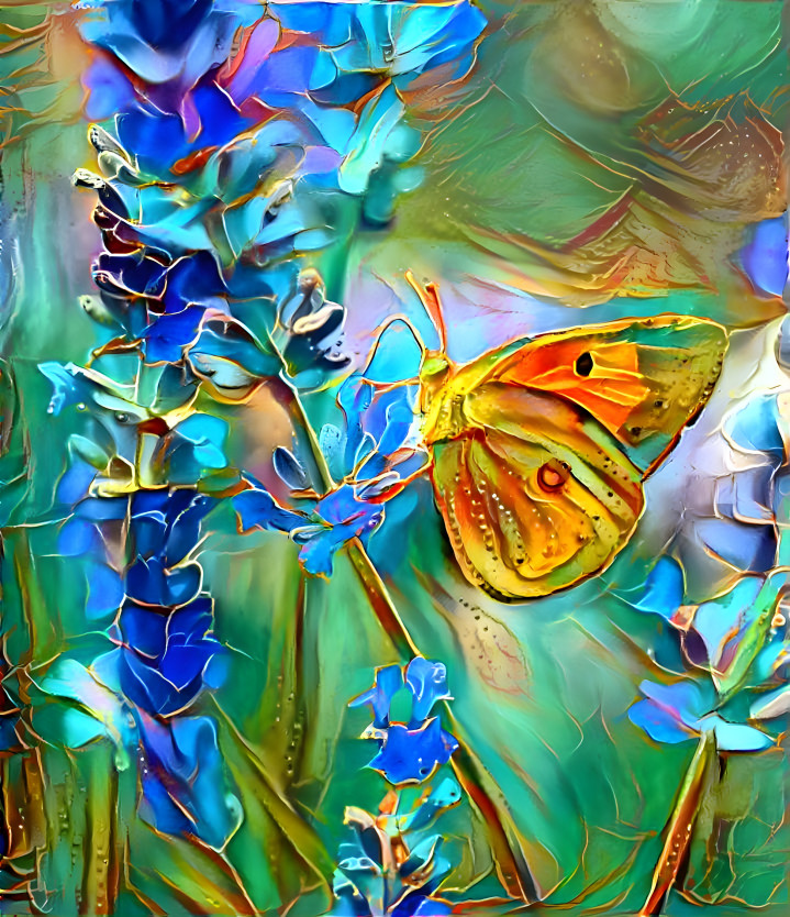 Nectar Loving Butterfly 