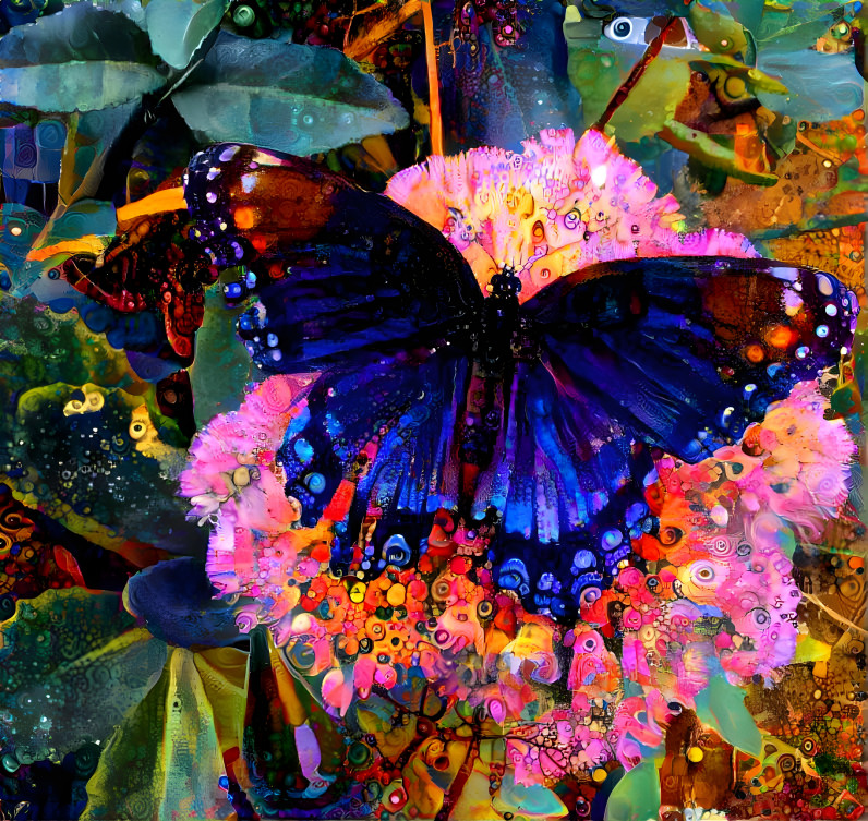 Red Spotted Purple Butterfly 