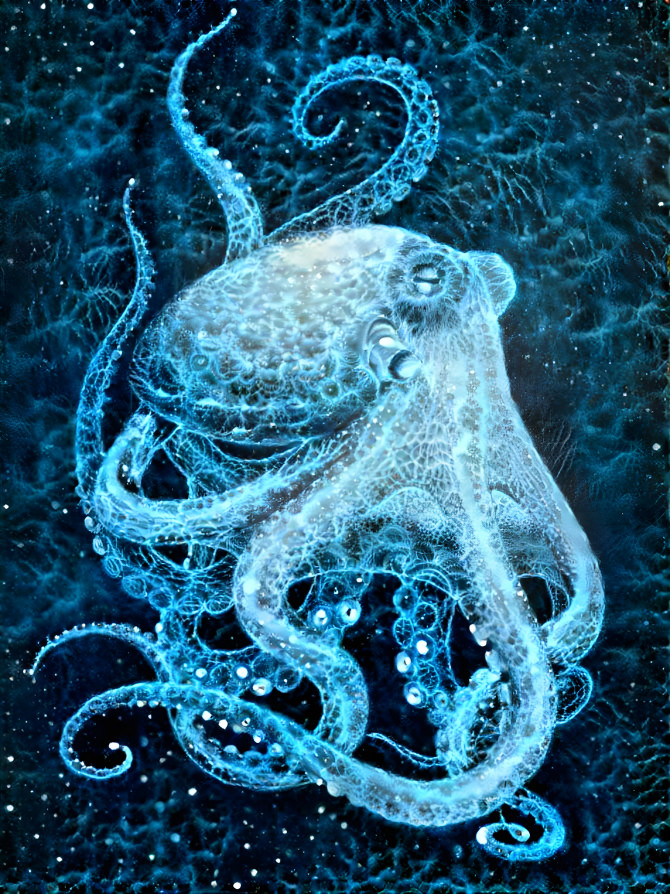 ~ Octopus Garden ~