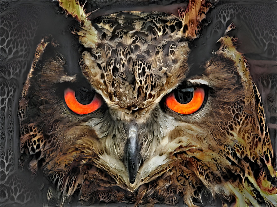 ~ Great Horned Owl ~