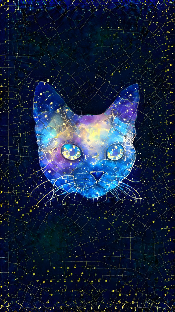 Constellation Kitty