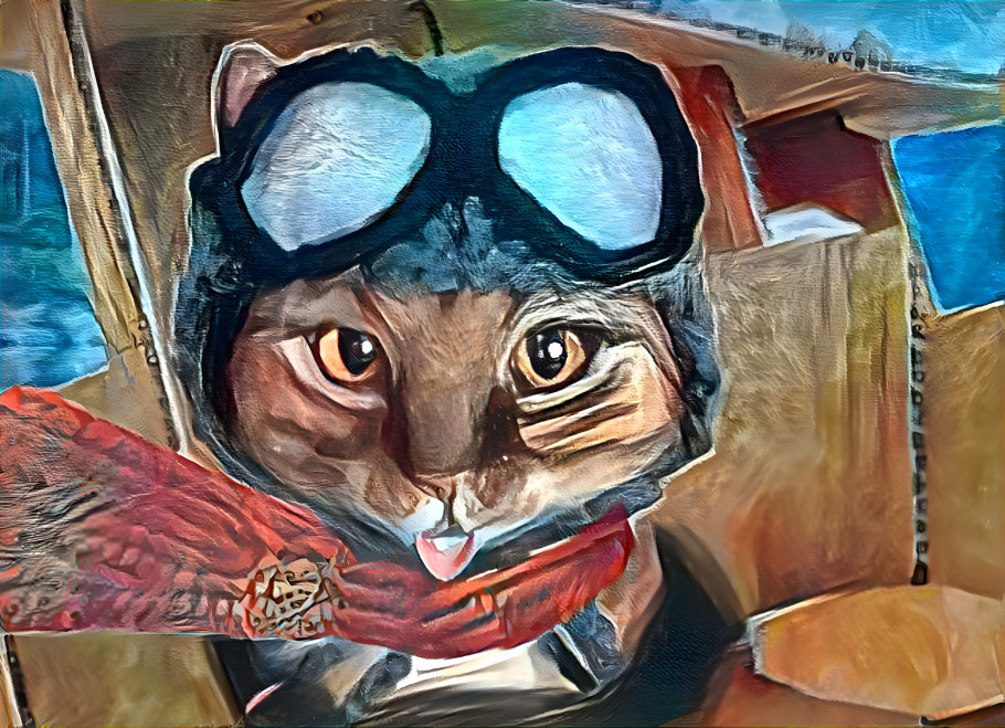 Pilot Kitty