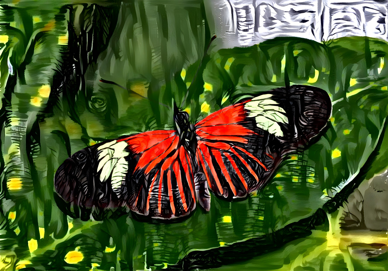 A beautiful butterfly 