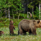 Mother bear and cubs in whimsical forest with glowing lights and green foliage