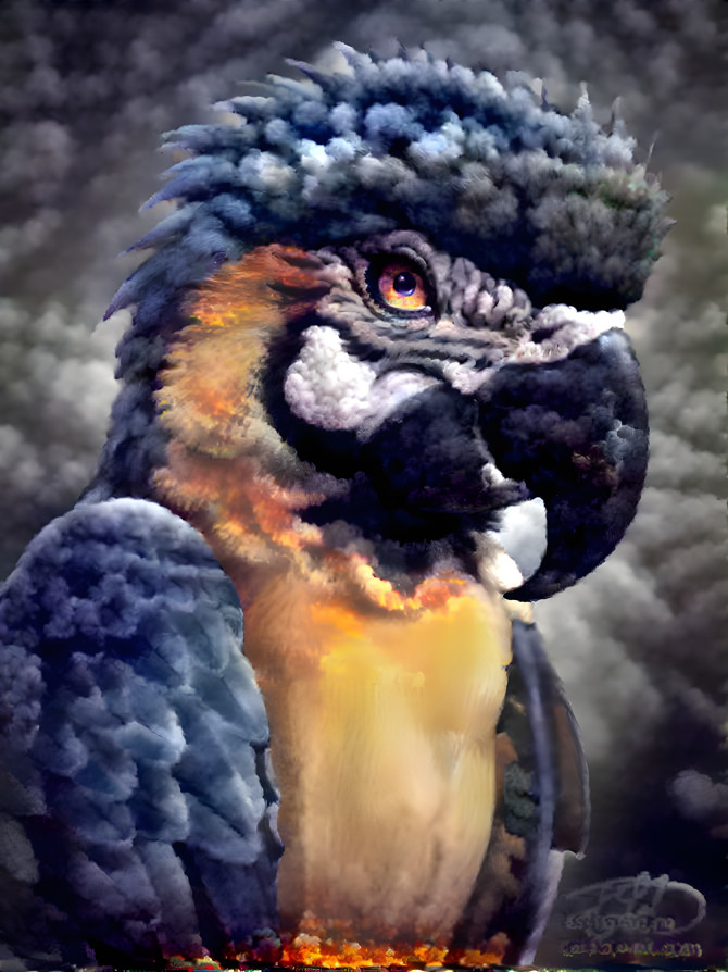 Pyro Parrot