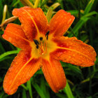 Detailed Orange Lily with Green Leaves in Realistic Digital Art