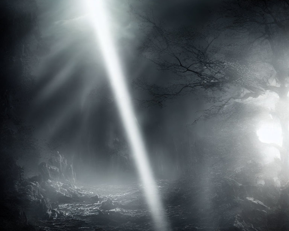Enchanting forest scene with light beam in foggy ambiance