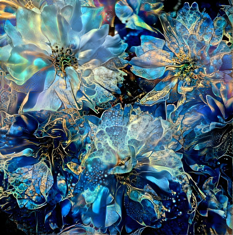 Blue blossoms
