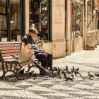 Elderly man feeds pigeons on sunlit plaza bench