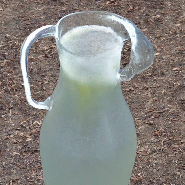 Cloudy Pale Green Beverage in Glass Pitcher Outdoors