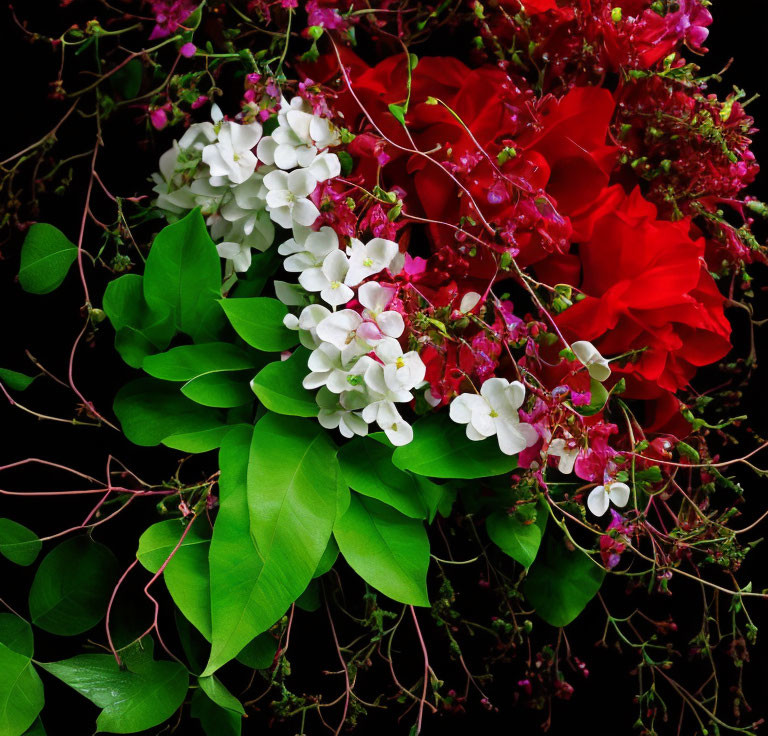 Colorful bouquet of red, pink, and white flowers on dark background