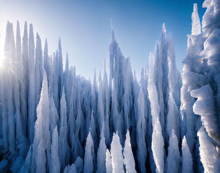 Snow-covered trees in mystical landscape under sunlight