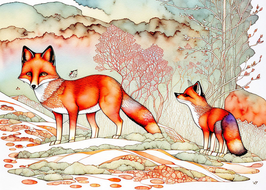 Foxmum and foxcub 