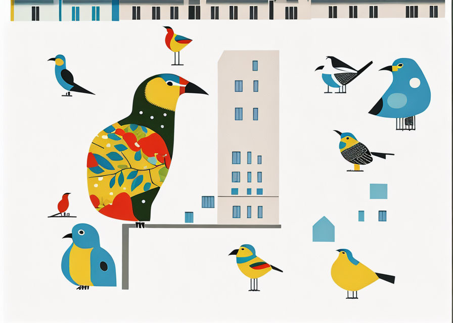 City birds 