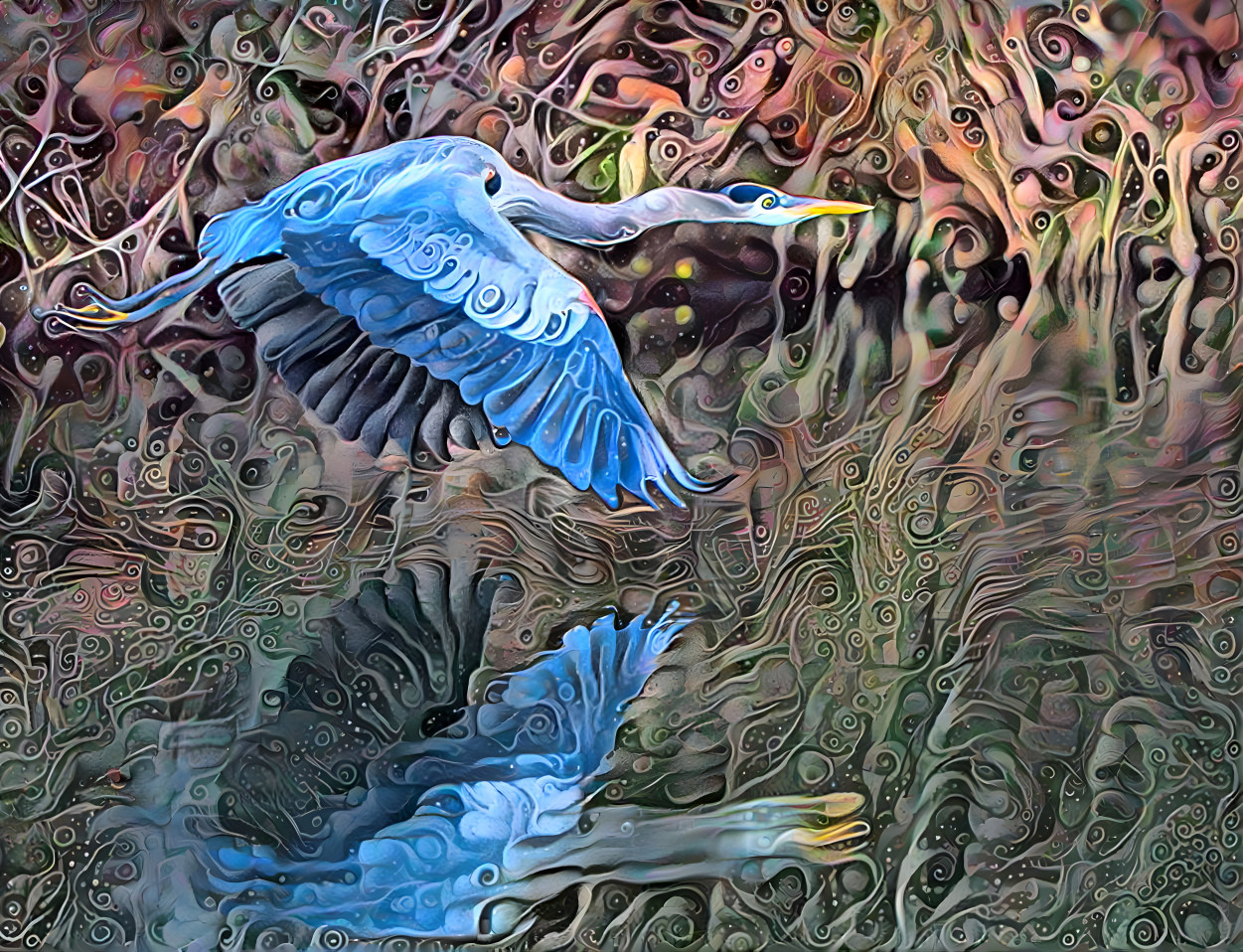 heron has the blues