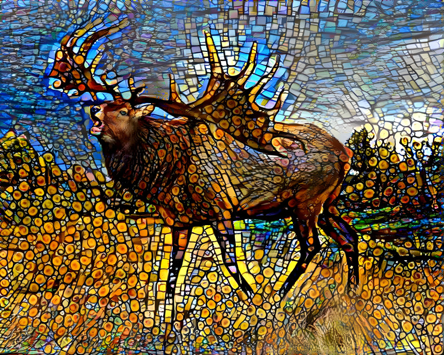 mr moose caribou elk guy