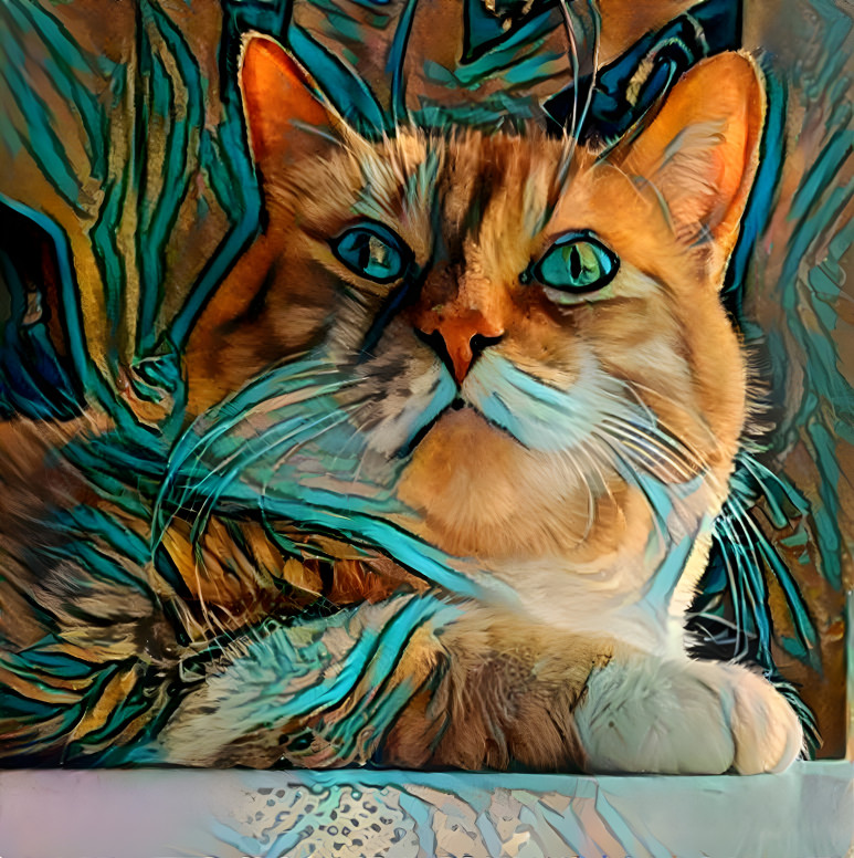 turquoise kitty