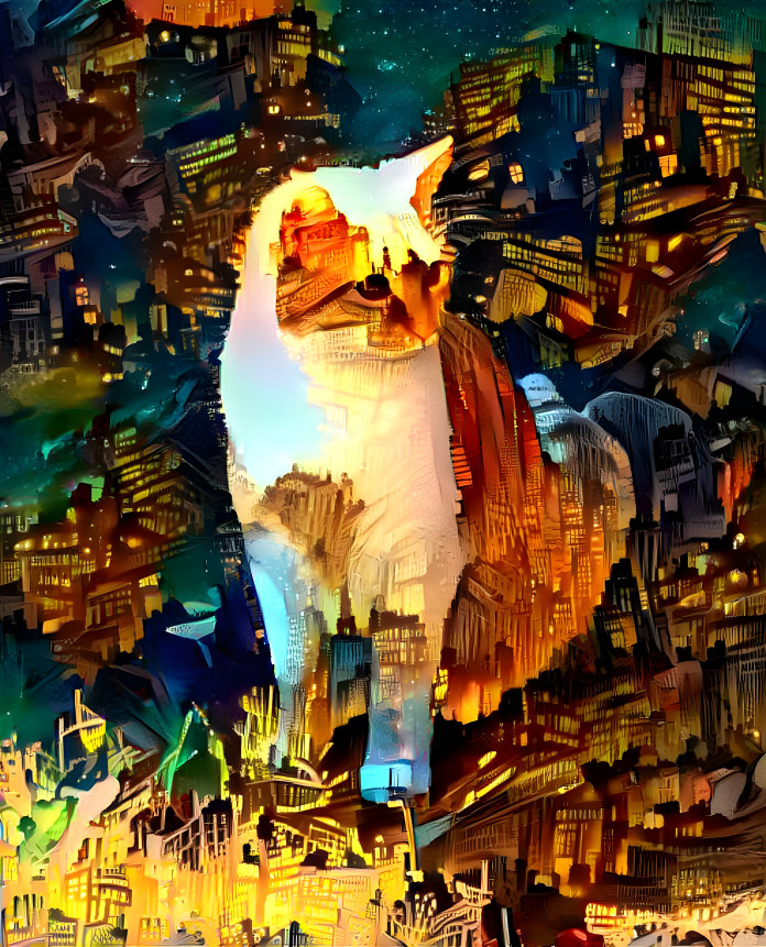 city cat 