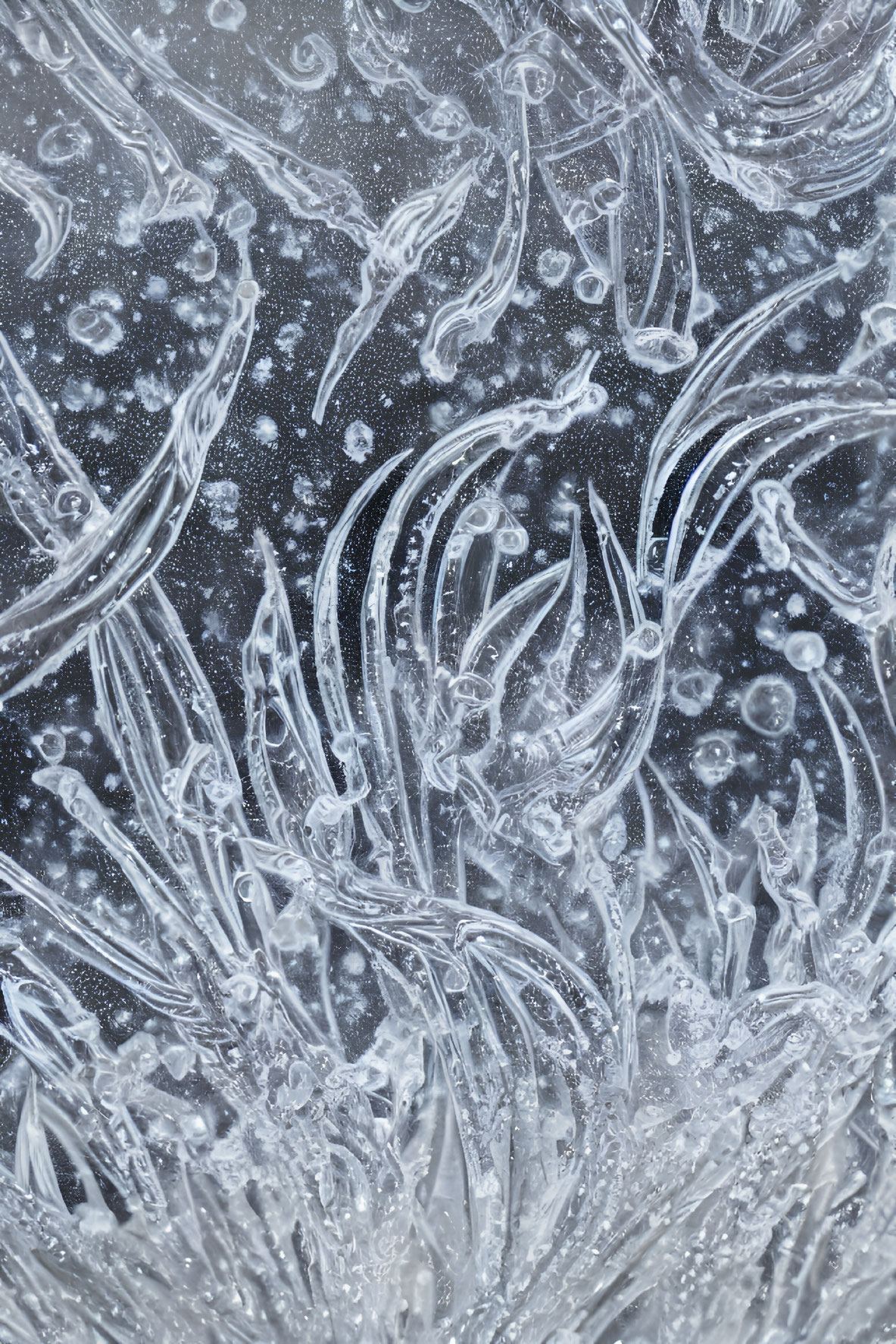 Detailed Ice Crystal Pattern with Feathery Structures and Frozen Bubbles