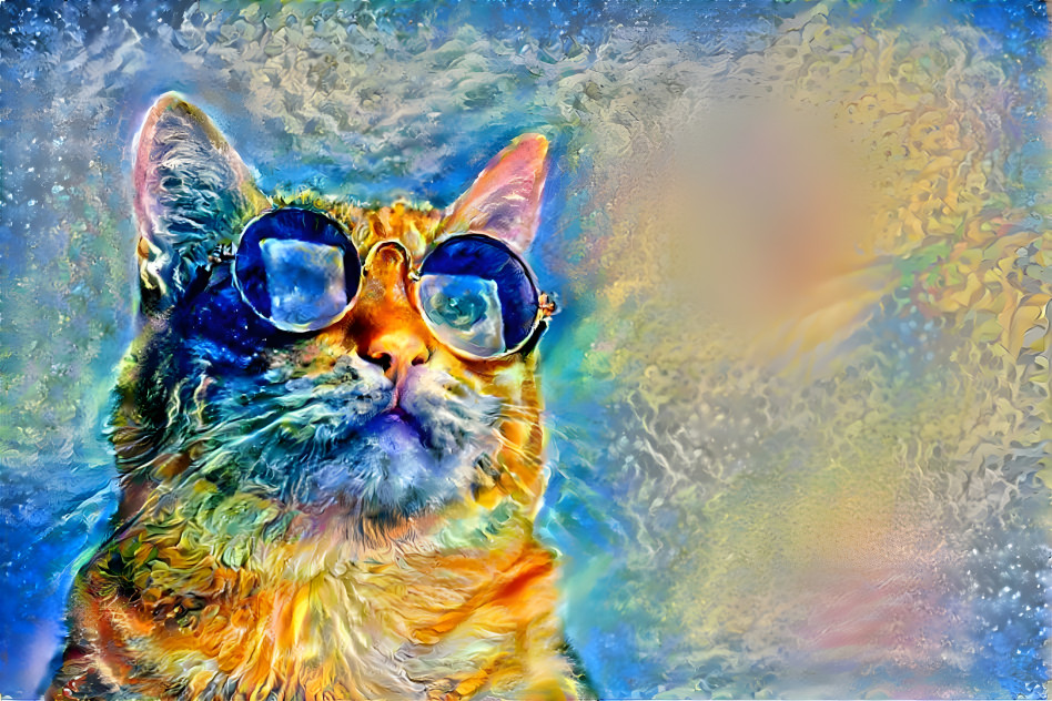 Hippy cat