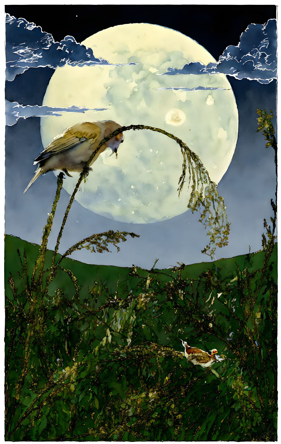 The bird, the grasshopper and the full moon