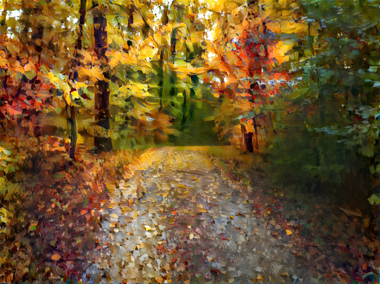 Autumn road 