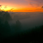 Mist-covered Landscape with Silhouetted Trees at Sunrise